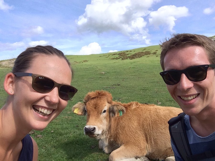 The happiest cows, we have ever seen