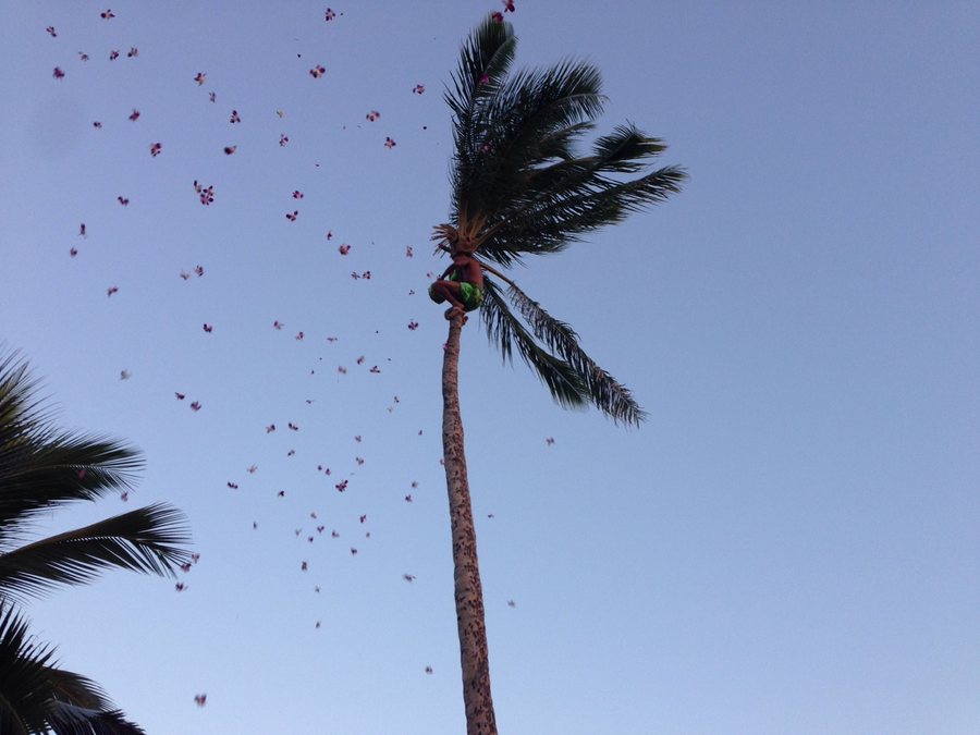 Flower shower