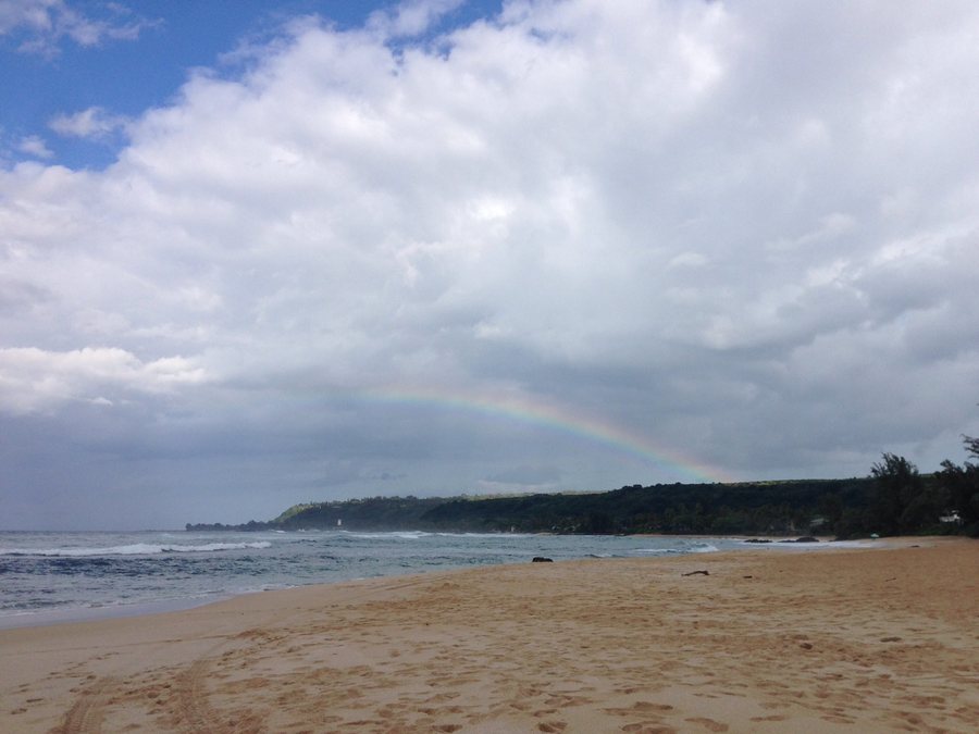 Rainbows everywhere :)