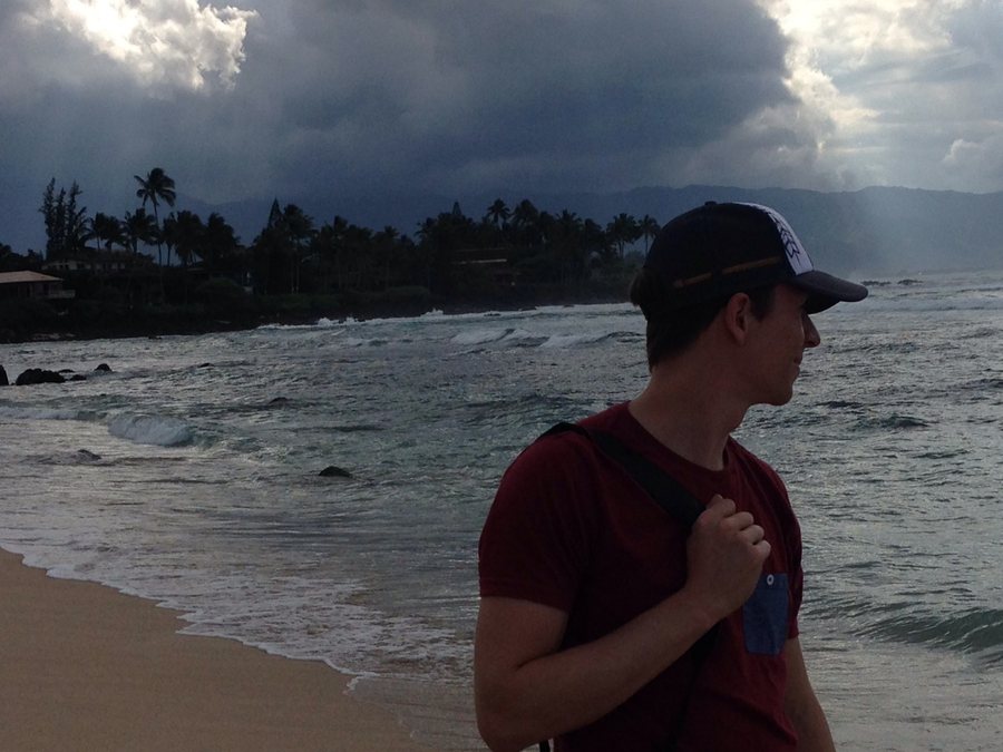 Looking for turtles :)