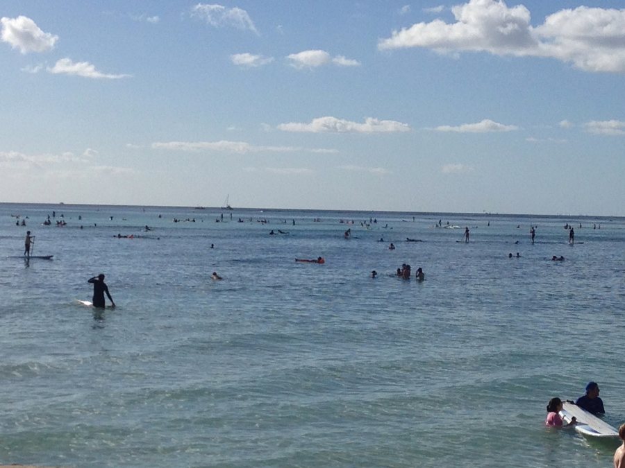 7th January Even the water at the front of Waikiki beach Hotels is crowded