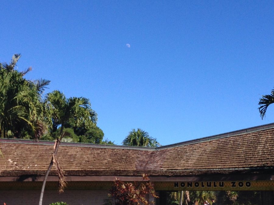 9th January Honolulu zoo and the half moon