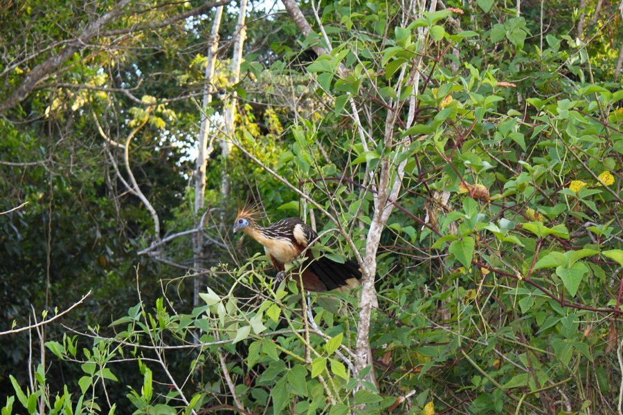 IMG_8295.JPG